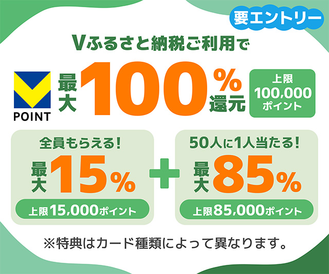 対象の三井住友カードでVふるさと納税をご利用いただいた方に最大100％のVポイント還元！（上限10万ポイント）
