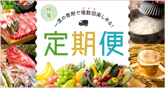 Vふるさと納税 | 人気・おすすめの返礼品を多数掲載！