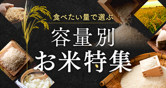 Vふるさと納税 | 人気・おすすめの返礼品を多数掲載！