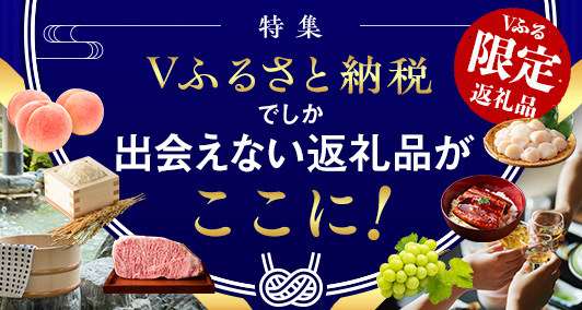 Vふるさと納税 | 人気・おすすめの返礼品を多数掲載！