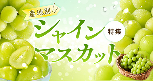 Vふるさと納税 | 人気・おすすめの返礼品を多数掲載！