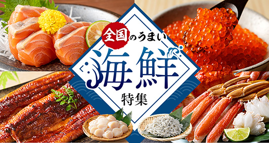Vふるさと納税 | 人気・おすすめの返礼品を多数掲載！